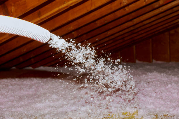 Best Energy-efficient Insulation  in Dunkirk, NY