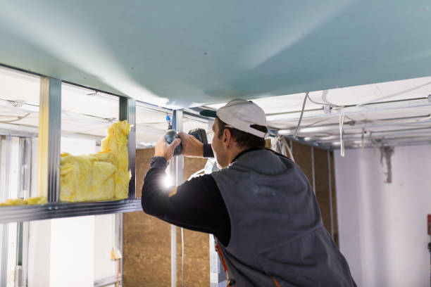 Best Insulation Repair Services  in Dunkirk, NY