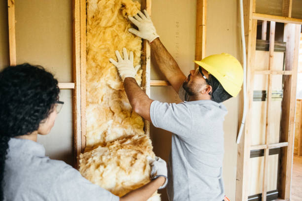 Best Attic Insulation Installation  in Dunkirk, NY