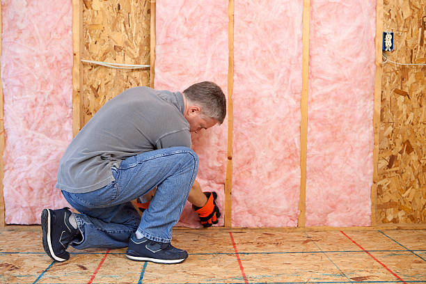 Best Insulation Contractor Near Me  in Dunkirk, NY