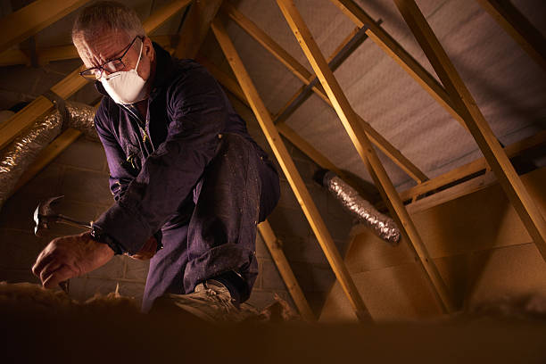 Best Soundproof Insulation Installation  in Dunkirk, NY