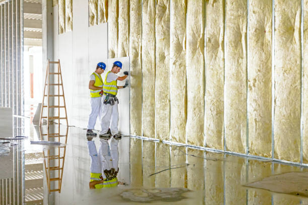 Best Crawl Space Insulation  in Dunkirk, NY
